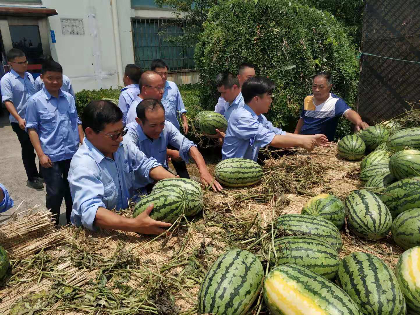 第41頁_新聞中心_蕪湖造船廠有限公司